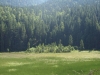 258_ukraina2008.jpg